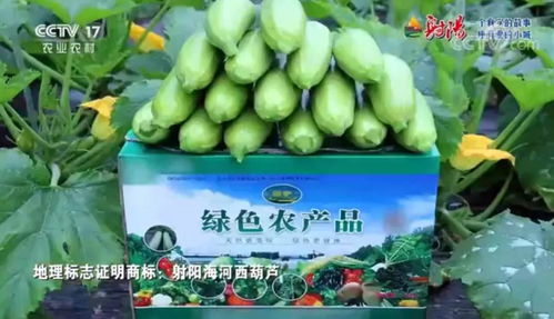 火遍全國！射陽綠色農產品宣傳片刷屏央視、江蘇衛視黃金時段